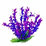 Aquatop Plant Hygrophila Pink/ Purple 12"