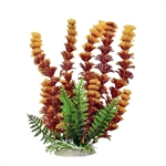 Aquatop Cabomba W/Orangish Tip Plant 9"