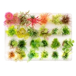 Aquatop Plastic Aquarium Plants - Assorted Colors 2-3" - 24 pcs
