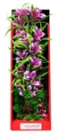 Aquatop Vibrant Garden Violet Plant 16"