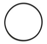 AquaUltraviolet ULTIMA II Filter O-Ring for 1,000 to 20,000