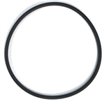 AquaUltraviolet Valve Cover O-Ring for 1 1/2 Valve