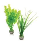 biOrb Easy Plant Green Small Set of 2