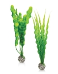 biOrb Easy Plant Green Medium Set of 2