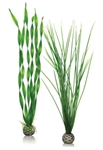biOrb Easy Plant Green Tall Set of 2