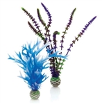biOrb Plant Blue/Purple Medium Set of 2