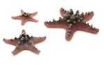 Biorb Starfish Set of 3 - Natural