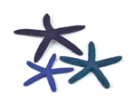 Biorb Starfish Set of 3 - Blue