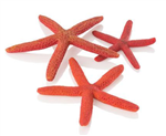 Biorb Starfish Set of 3 - Red