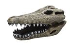 Hikari Resin Ornament - Gator Skull