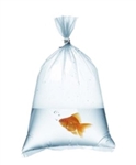 Fish Bags 10x20 - 3 mil - 1000/Box