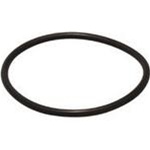LifeGard Replacement UV Cap O-Ring for all QL Models