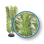 Weco Plant Green Cabomba 9"