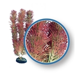 Weco Plant Red Cabomba 12"