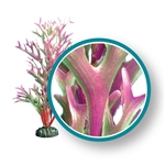 Weco Plant Red Kelp 12"