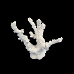 Weco Octopus Coral White - Small