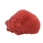 Weco Brain Coral Orange - Large