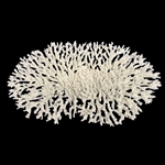 Weco Oval Tabletop Coral White - Large