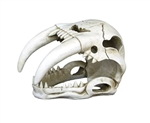 Weco Ornament Sabertooth Skull
