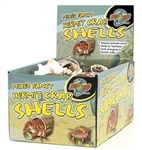 Zoomed Hermit Crab Fancy Shells 24 PC Counter Display