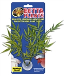 Zoomed Betta Plant - Bamboo