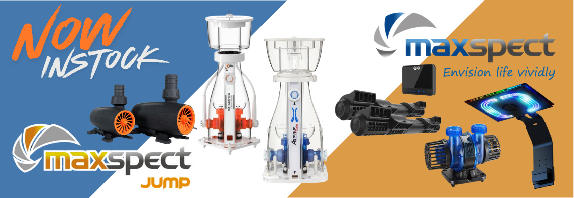 Maxspect