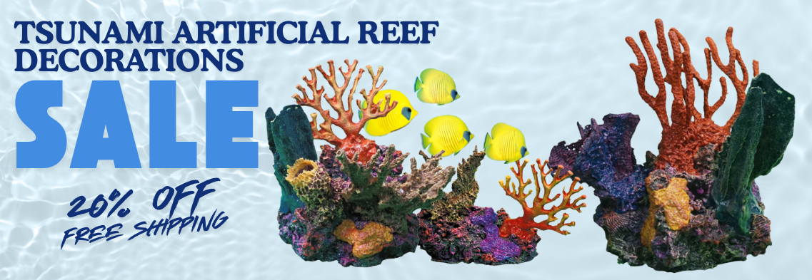 Tsunami Coral Sale