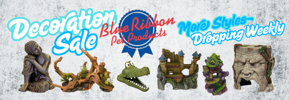 Blue Ribbon Decorations